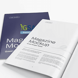 Revistas